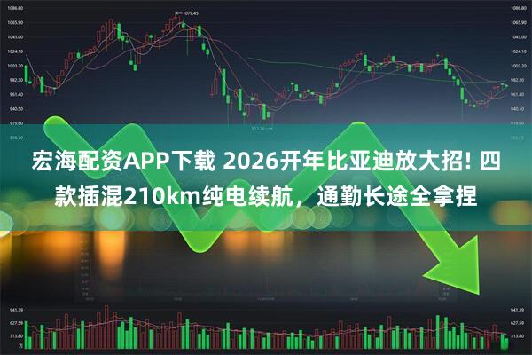 宏海配资APP下载 2026开年比亚迪放大招! 四款插混210km纯电续航，通勤长途全拿捏
